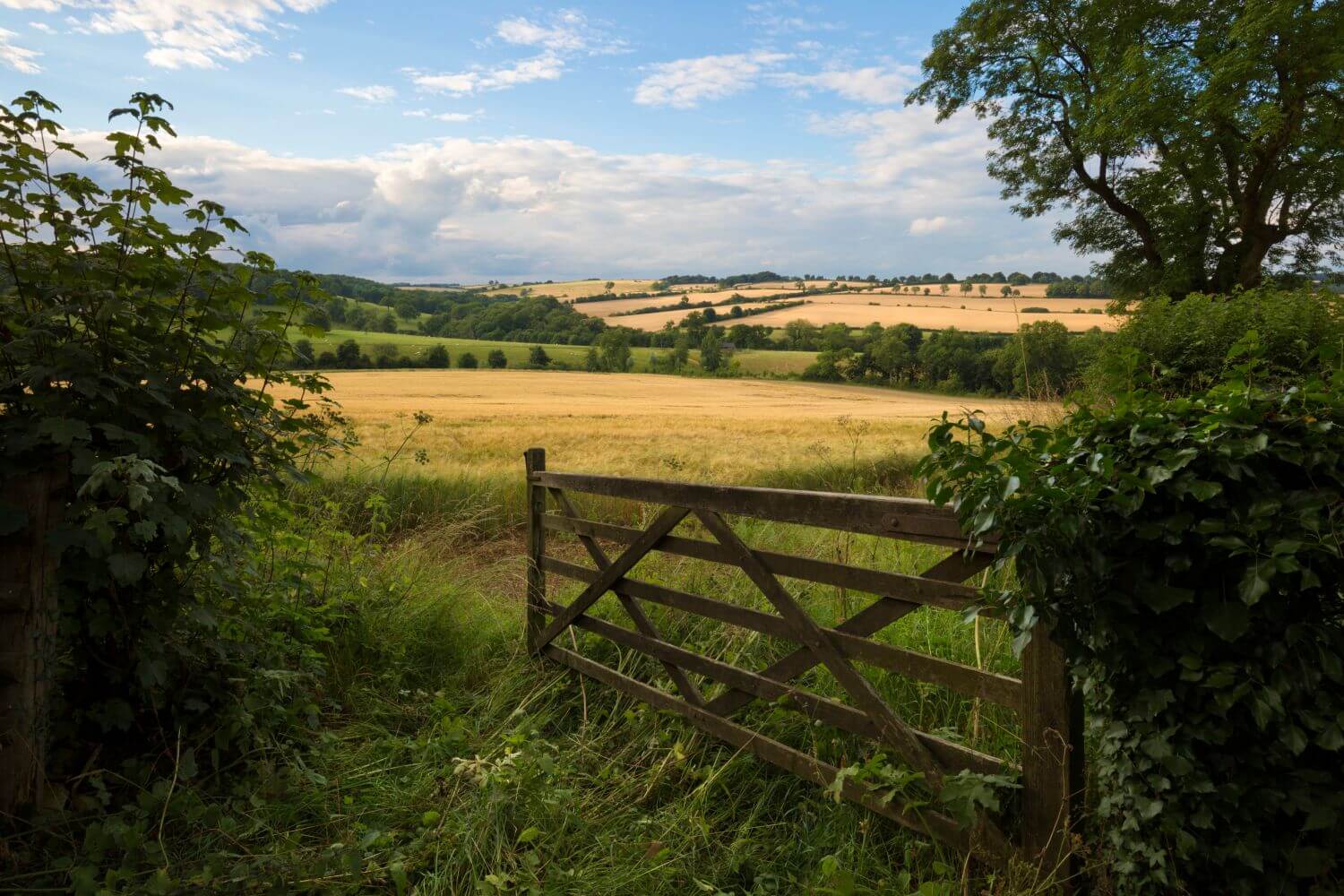 Two Bridging Loans: One Standard of Execution